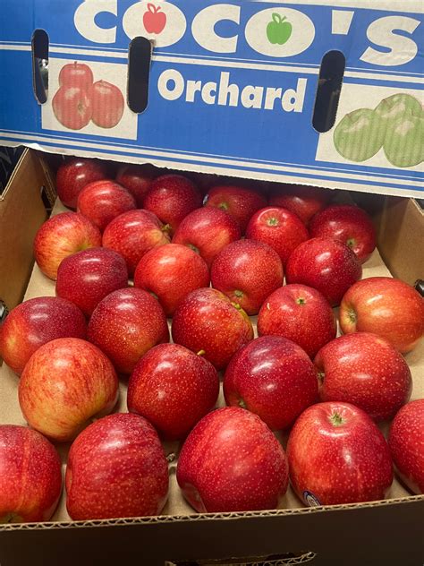 why are gala apples cheap